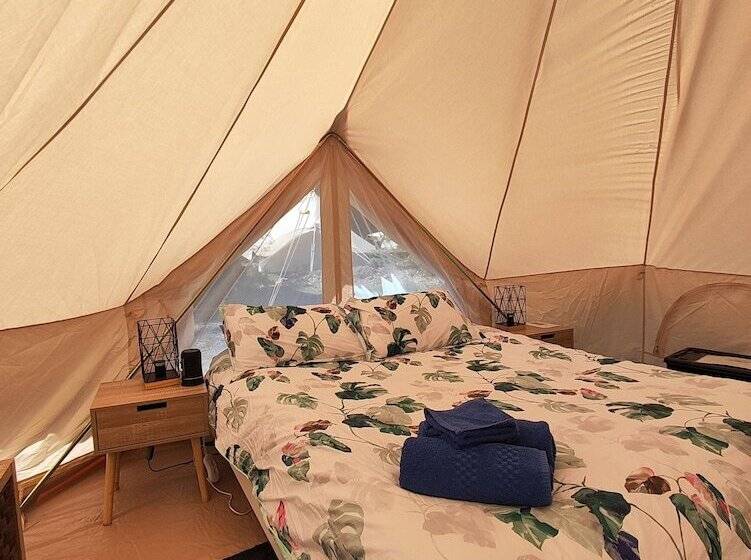 酒店 Glamping At Zeehan Bush Camp