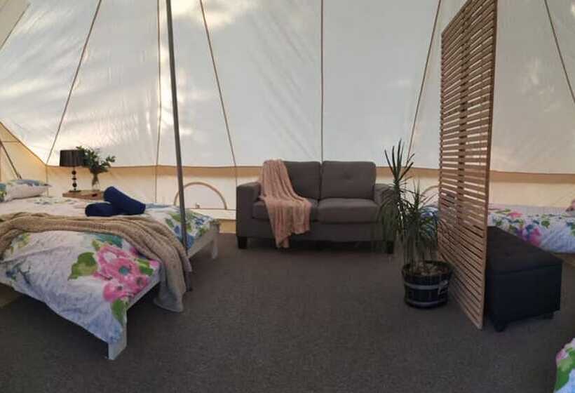 酒店 Glamping At Zeehan Bush Camp