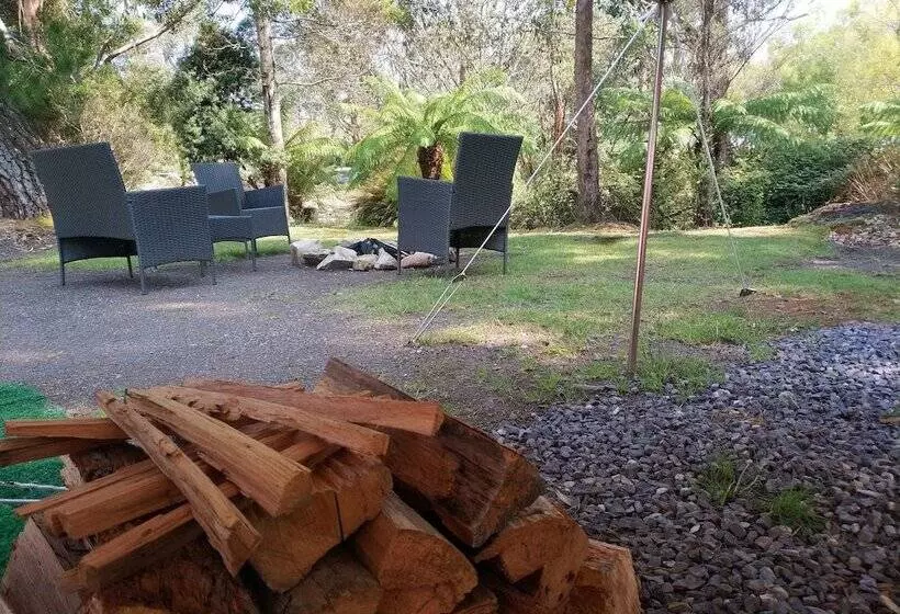 Отель Glamping At Zeehan Bush Camp