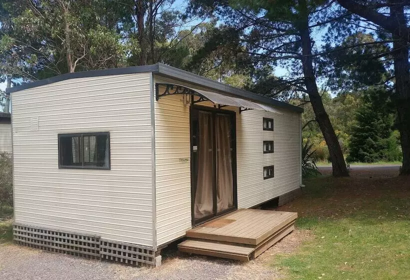 Отель Glamping At Zeehan Bush Camp