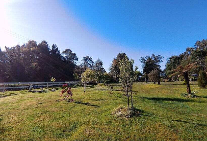 酒店 Glamping At Zeehan Bush Camp