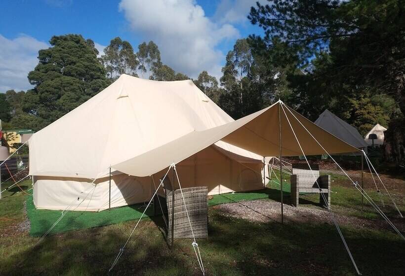 酒店 Glamping At Zeehan Bush Camp