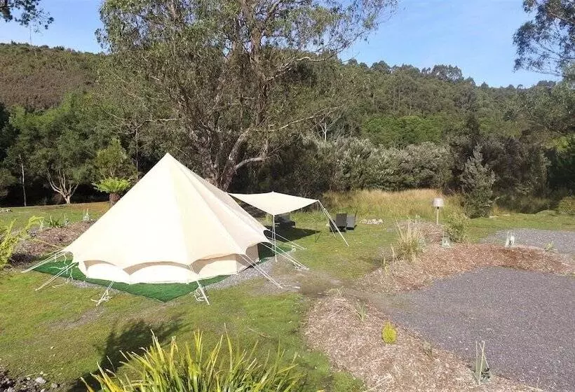 Отель Glamping At Zeehan Bush Camp