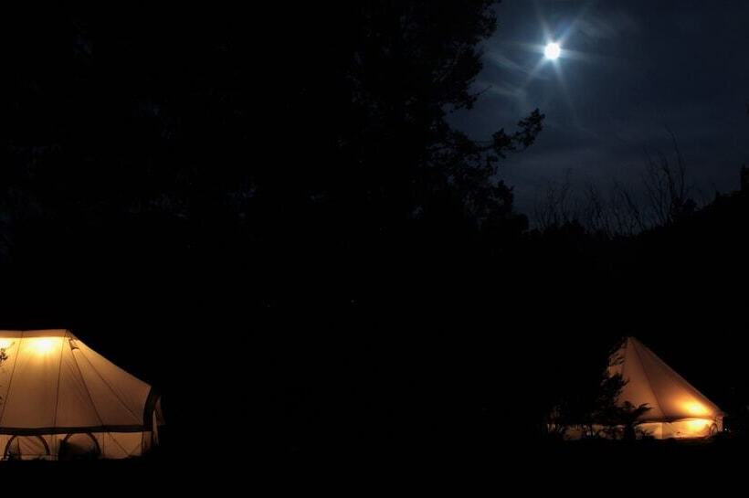 酒店 Glamping At Zeehan Bush Camp