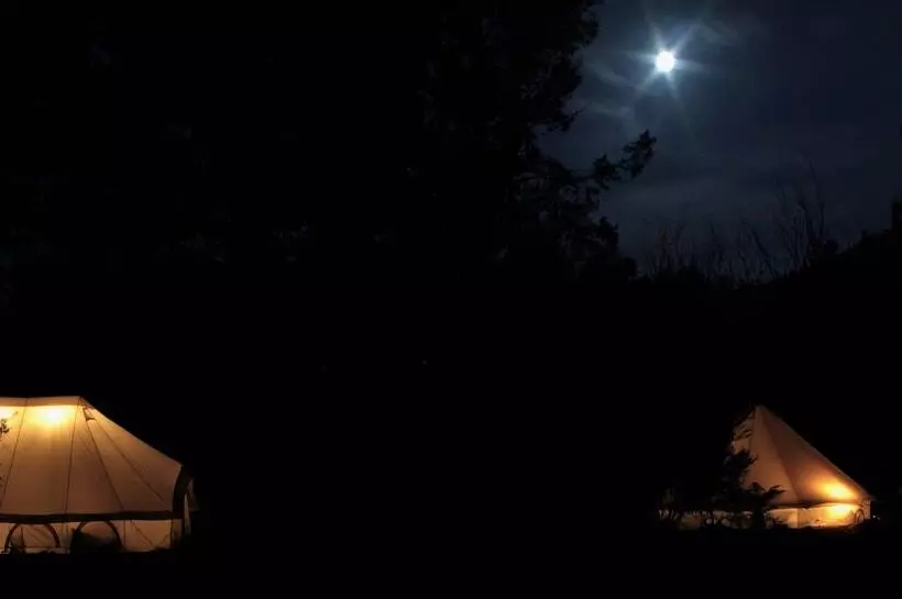 Отель Glamping At Zeehan Bush Camp