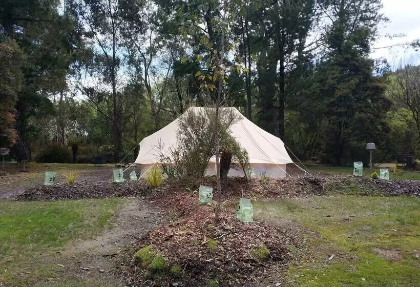Отель Glamping At Zeehan Bush Camp