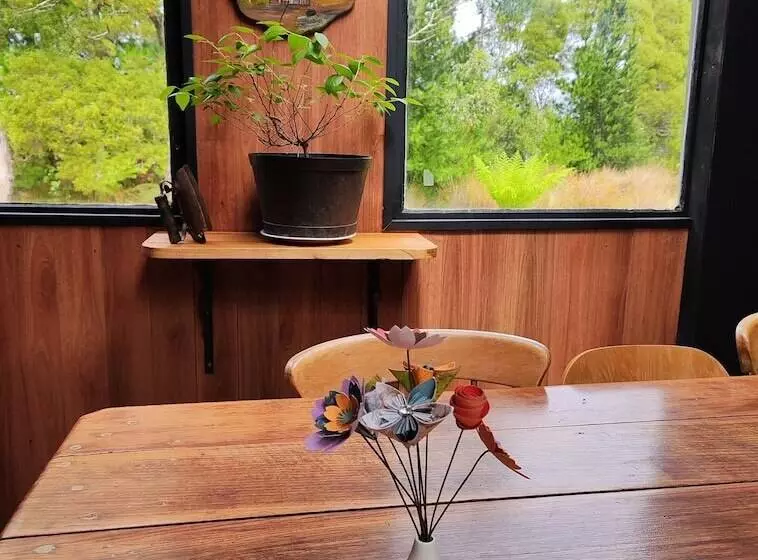 Отель Glamping At Zeehan Bush Camp