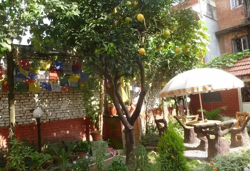 پانسیون Andes House