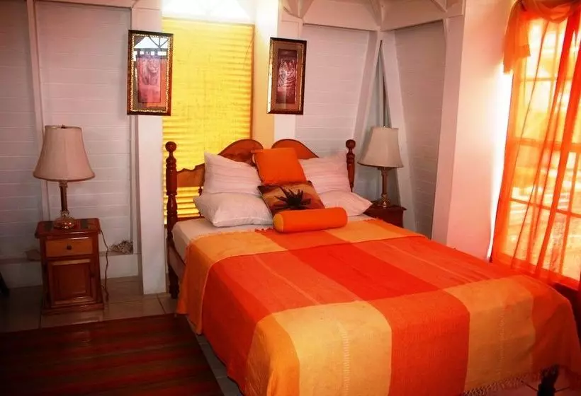 پانسیون Fairview Guest House