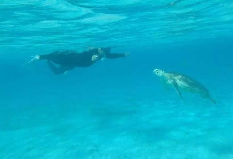 펜션 Guesthouse Iyonchi