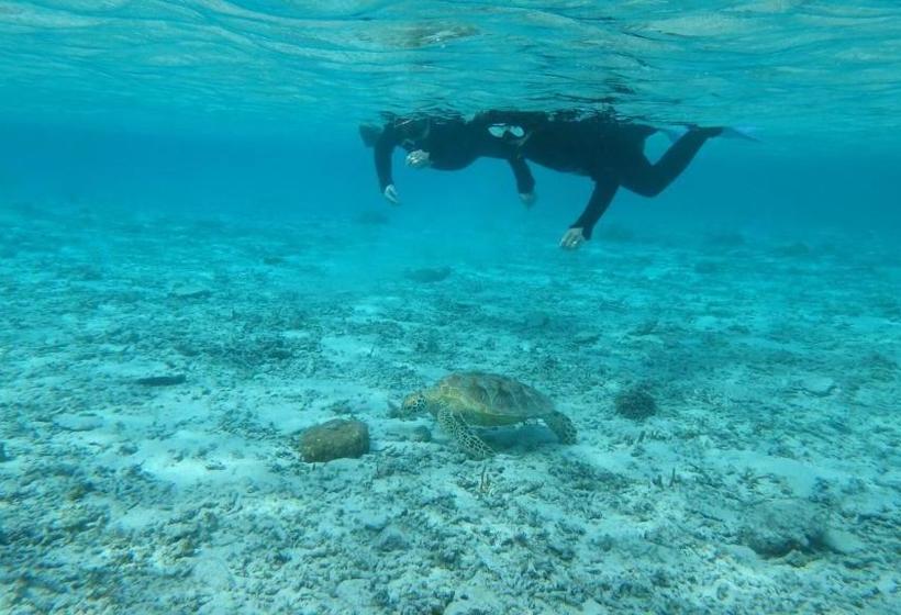 بنسيون Guesthouse Iyonchi