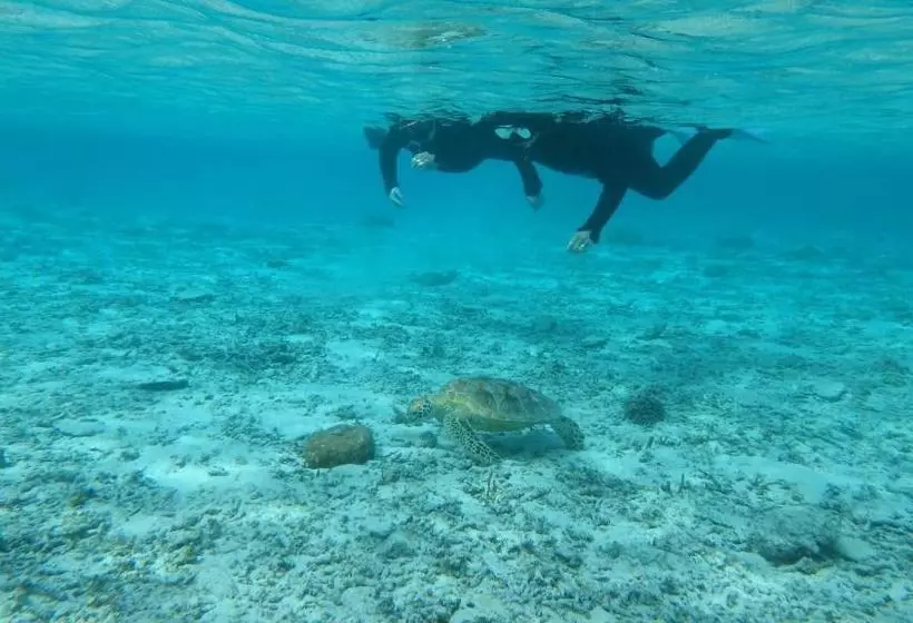 펜션 Guesthouse Iyonchi