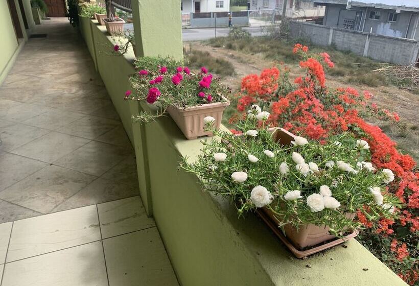 Touch Therapies Guest House