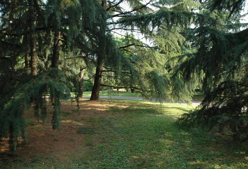 住宿加早餐  I Salici