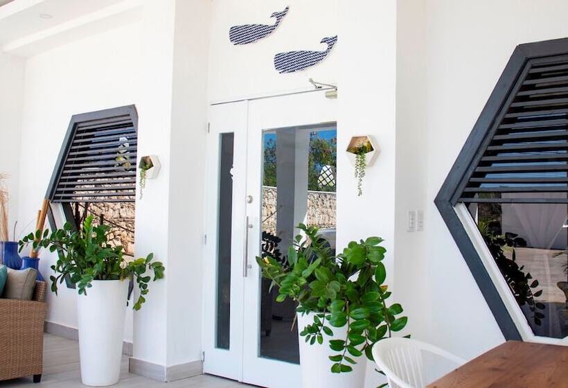 Capriccio Mare y Restaurante