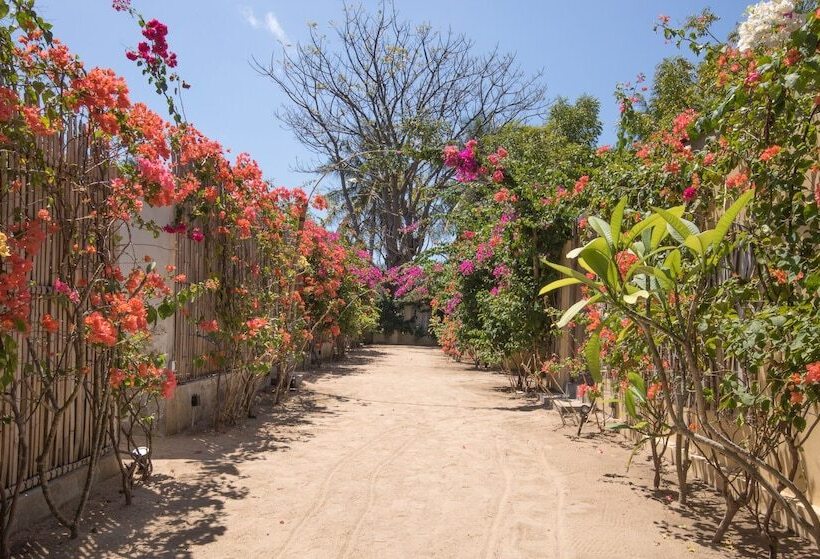 فندق Les Villas Ottalia Yoga And Diving, Gili Meno