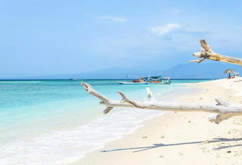 Hotel Les Villas Ottalia  Yoga And Diving, Gili Meno