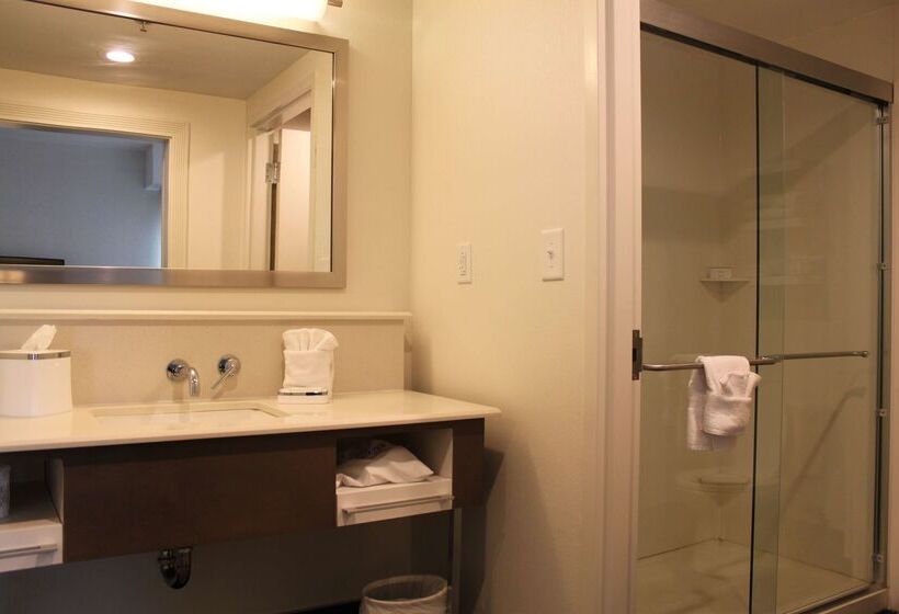 ホテル Hampton Inn Bainbridge