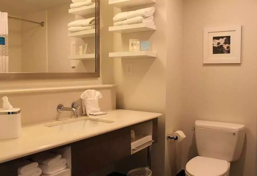 ホテル Hampton Inn Bainbridge