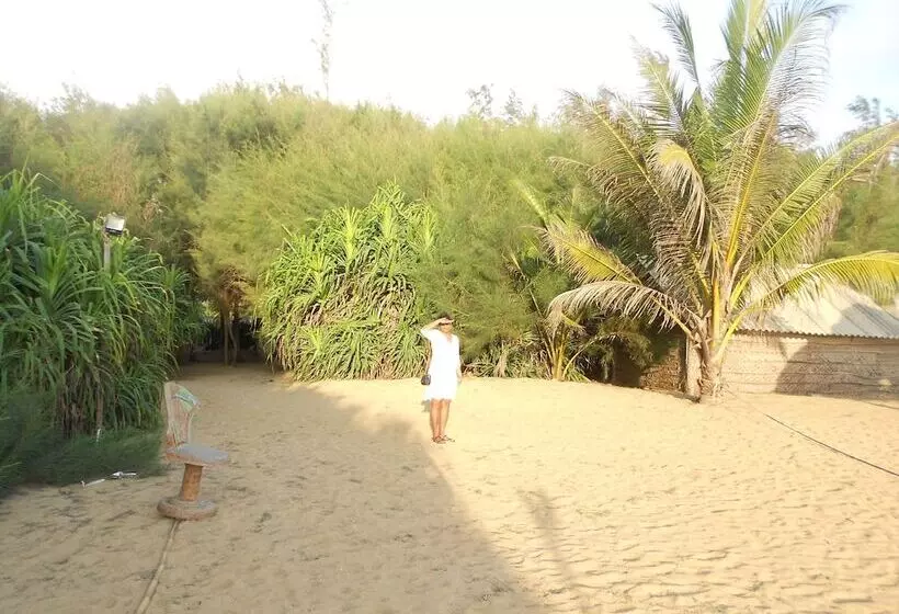 בית מלון כפרי Shanith Guesthouse Negombo