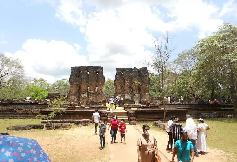 בית מלון כפרי Shanith Guesthouse Negombo