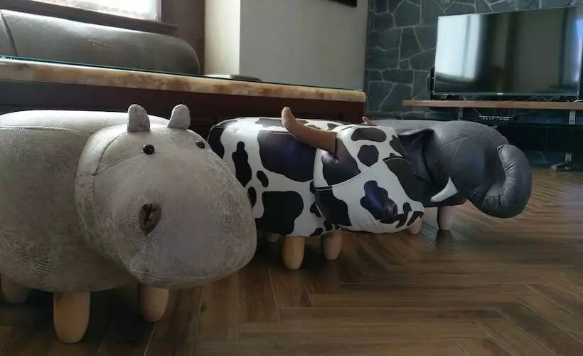 پانسیون Balawua House