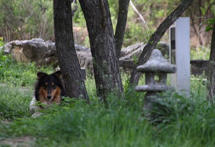 פנסיון Motif No.1 Guest House