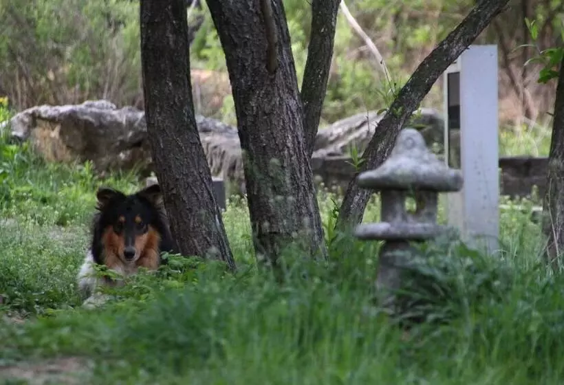 Pensjonat Motif No.1 Guest House