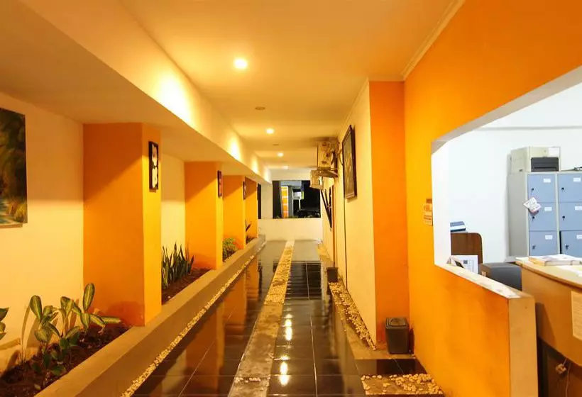 Ct1 Bali Bed & Breakfast