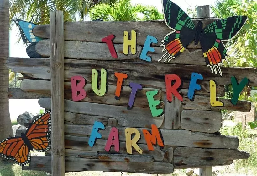 Bubali Bliss Studios