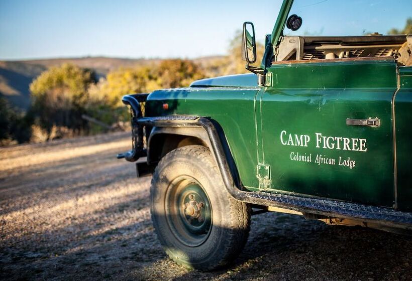 Hotelli Camp Figtree