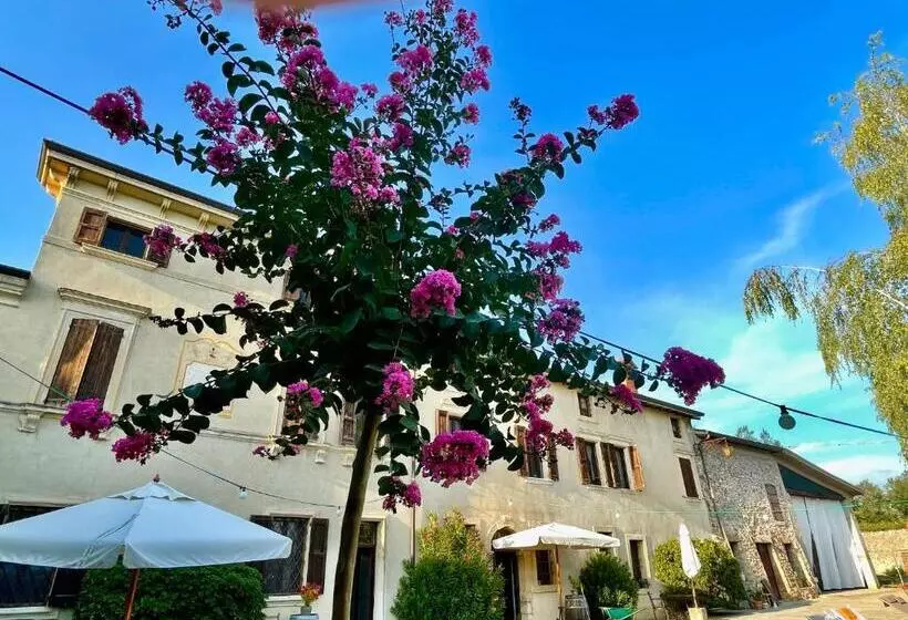 酒店 Guesthouse Corte Marzago Adults Friendly