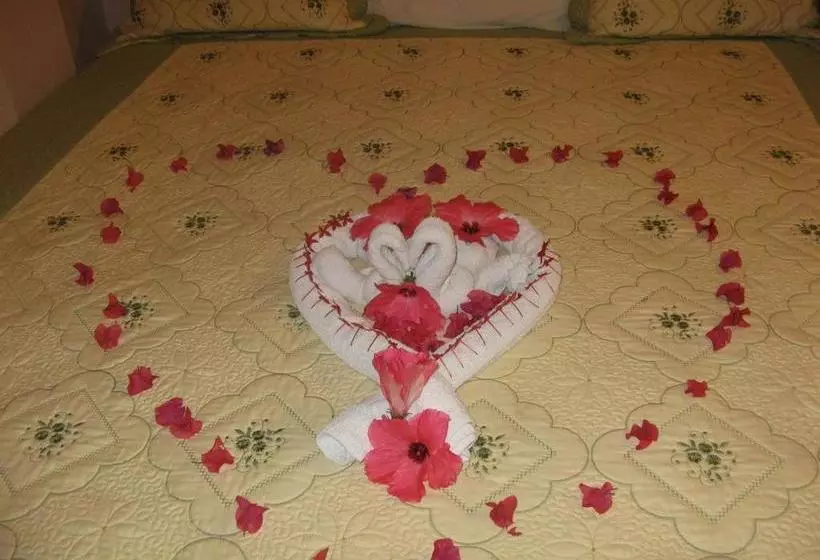 هتل Executive Shaw Park Guest House