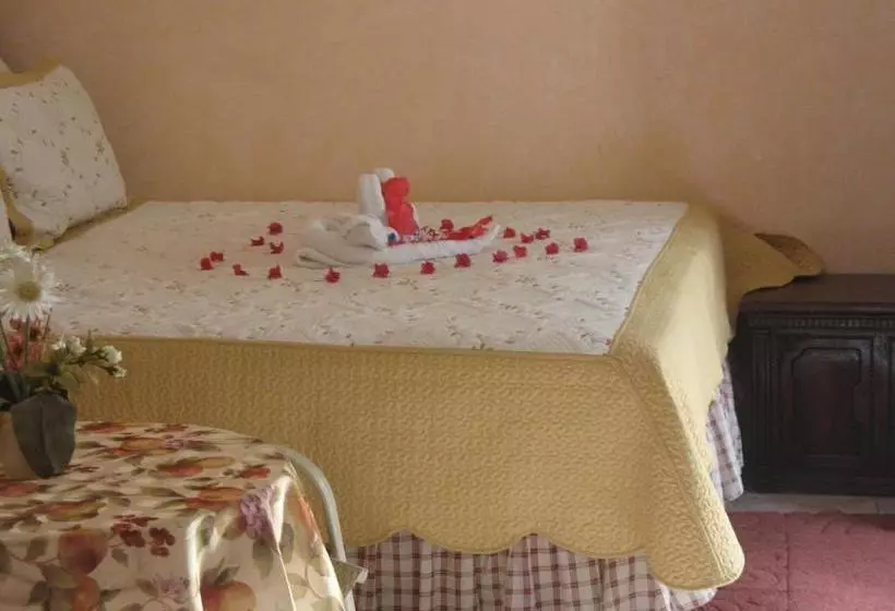 هتل Executive Shaw Park Guest House