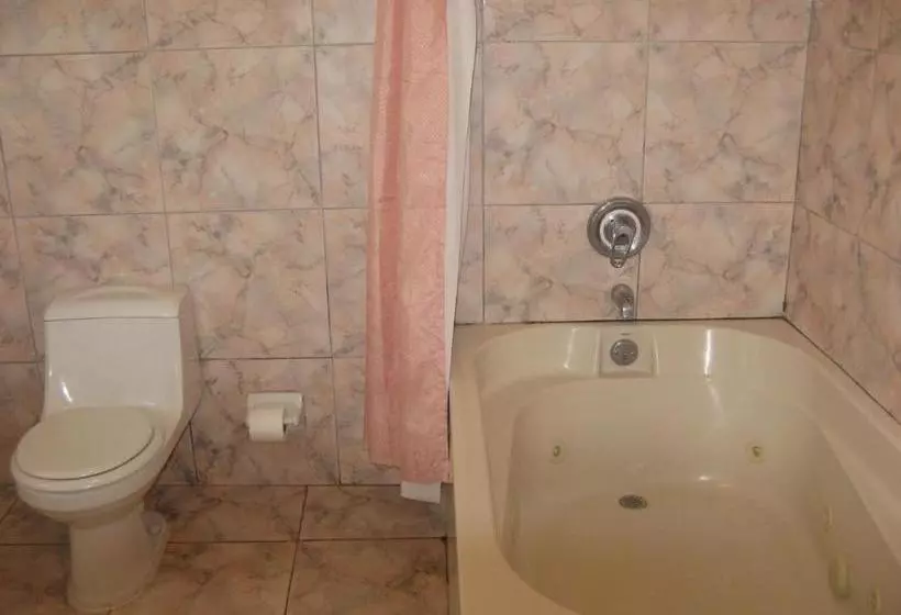 هتل Executive Shaw Park Guest House