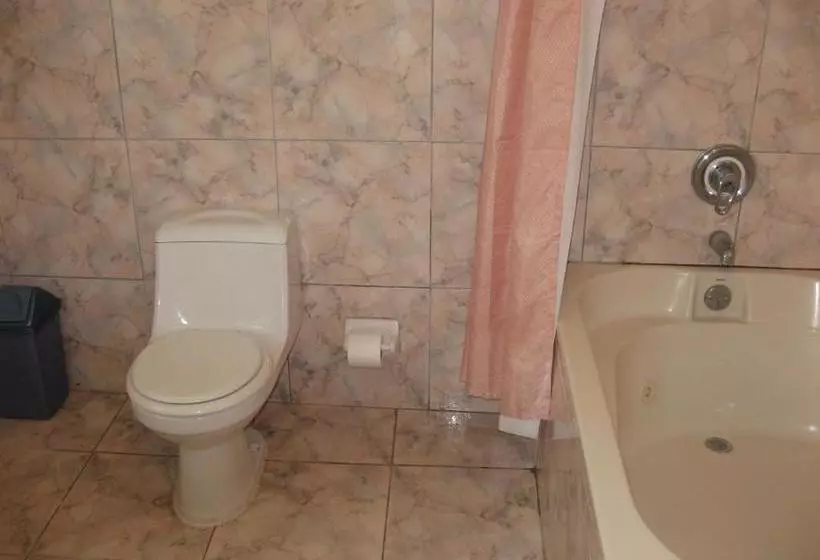 هتل Executive Shaw Park Guest House