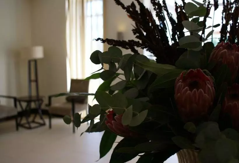 Отель Kievits Kroon Gauteng Wine Estate