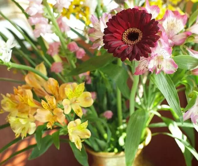 Hotel Shinshu Matsumoto Utsukushigahara Onsen Shoho