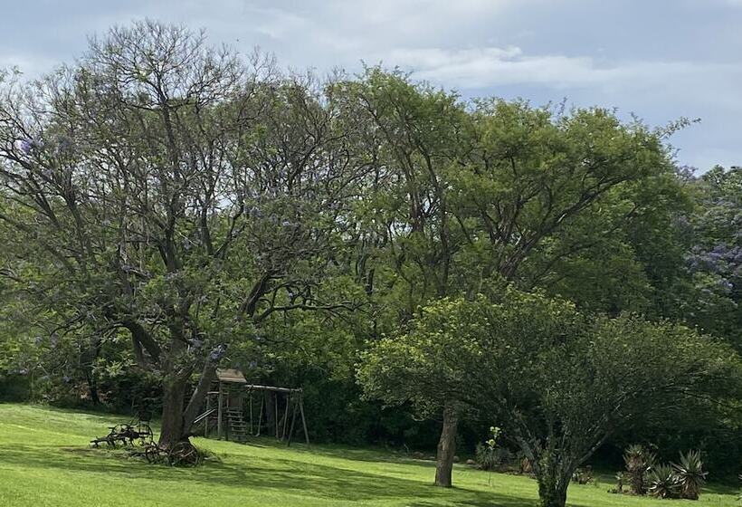 ホテル Spion Kop Lodge