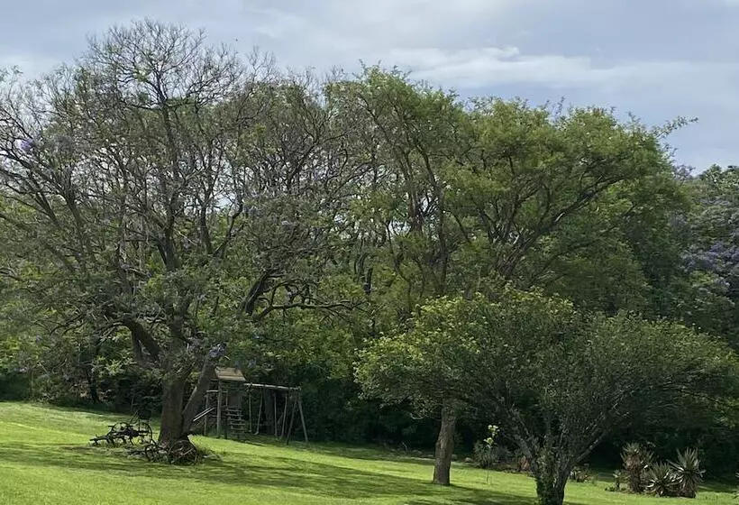 호텔 Spion Kop Lodge