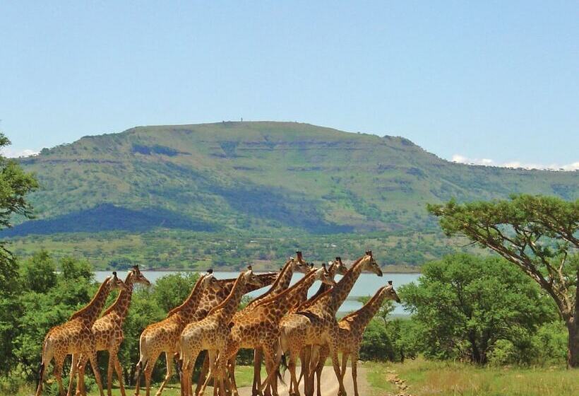 ホテル Spion Kop Lodge