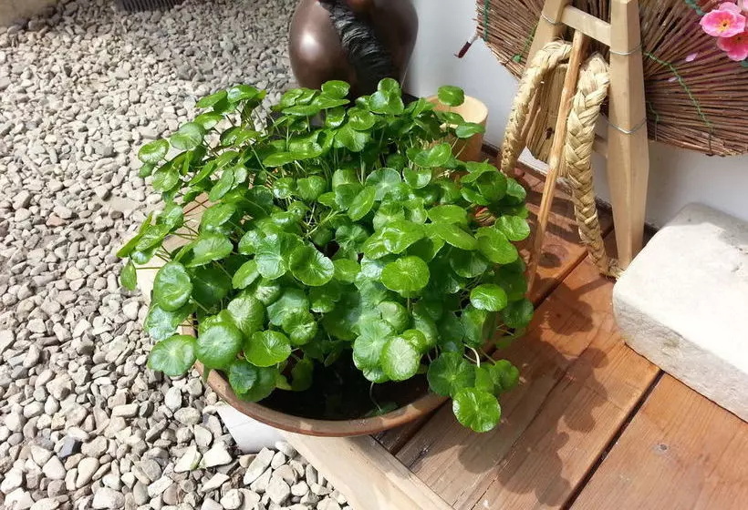 Pension (Hôtel basse catégorie) Dukmanjae