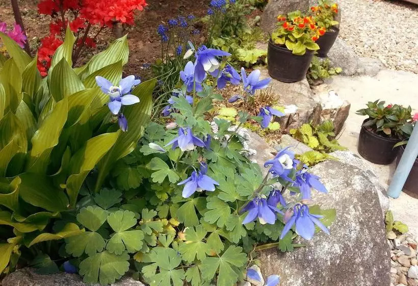 Pension (Hôtel basse catégorie) Dukmanjae