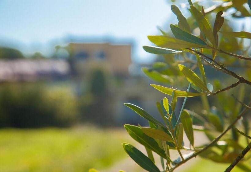 Agriturismo La Vecchia Fattoria