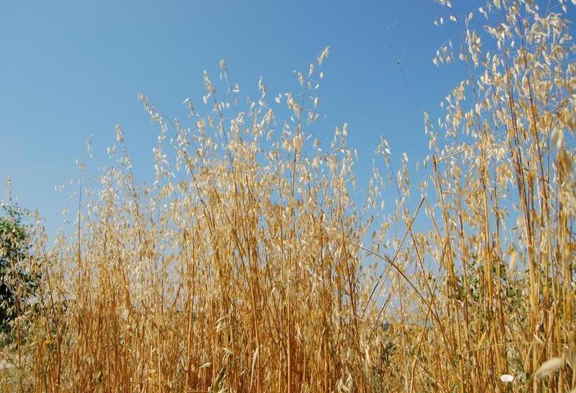 Agriturismo La Vecchia Fattoria