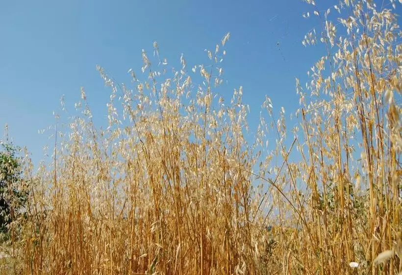 Agriturismo La Vecchia Fattoria