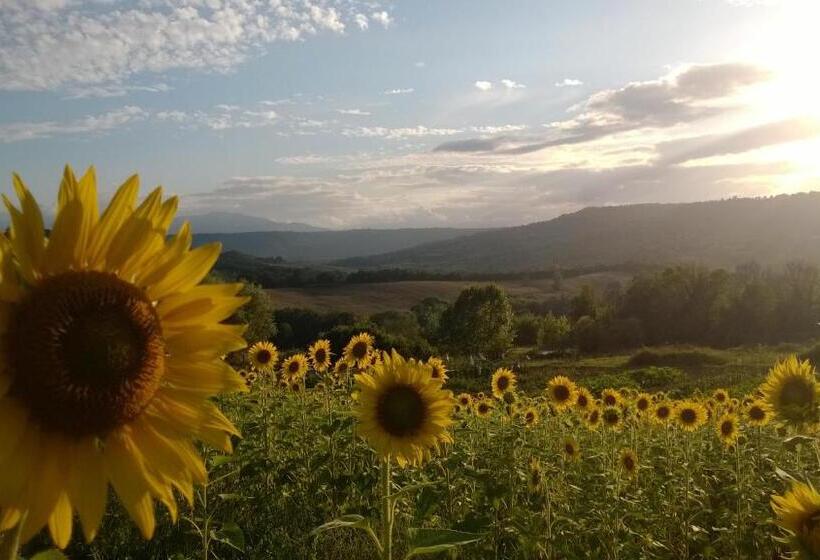 Agriturismo La Vecchia Fattoria