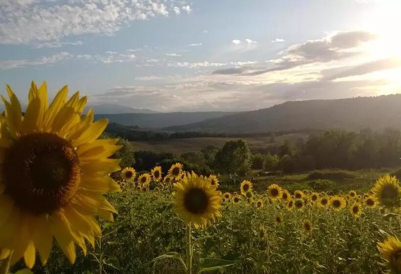 Agriturismo La Vecchia Fattoria