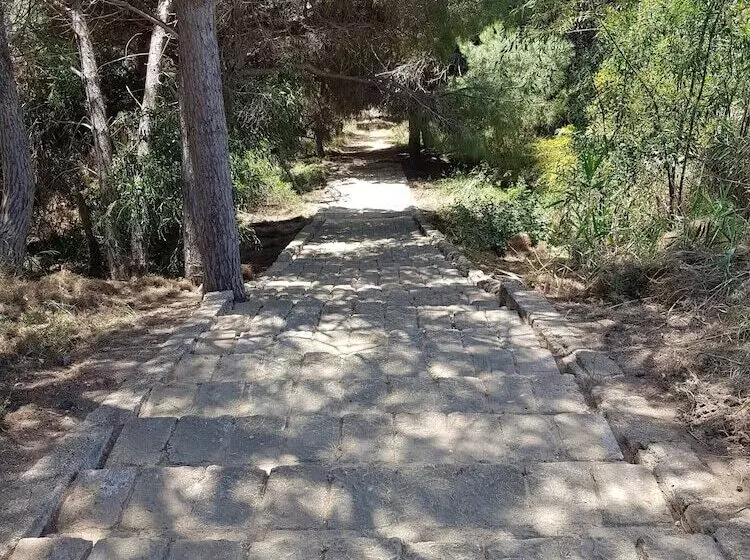 تختخواب و صبحانه Le Dune Beach