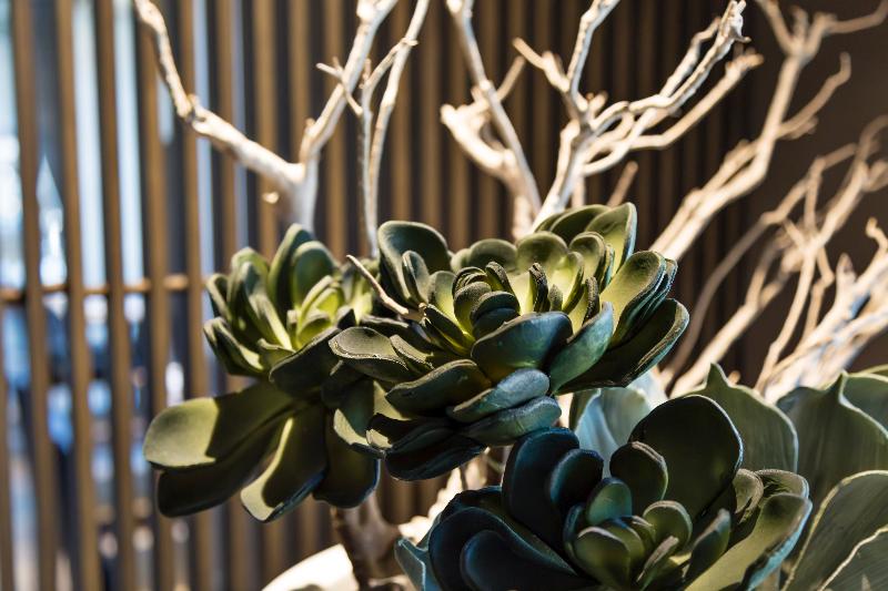 Grand Hotel Campione